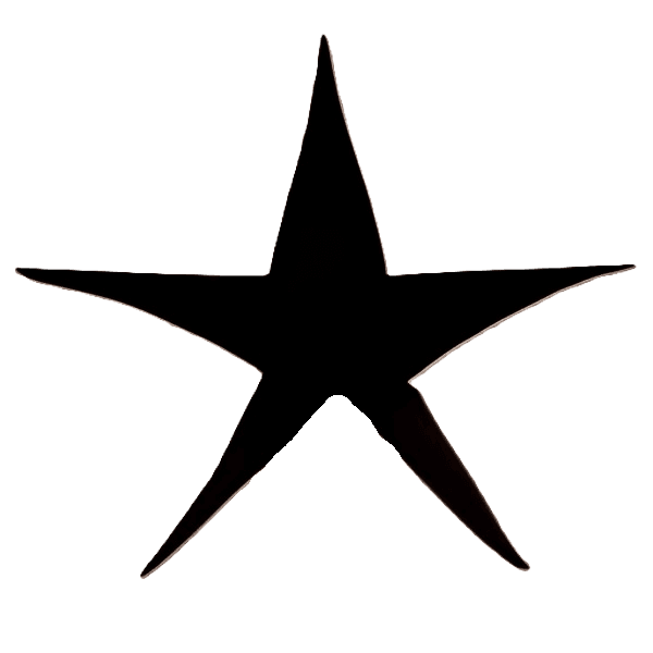 Rocío Martín - Experta en Micropigmentación en Madrid 2 Estrella decorativa color negro utilizada como elemento gráfico en el diseño web de Rocío Martín Micropigmentación y Estética