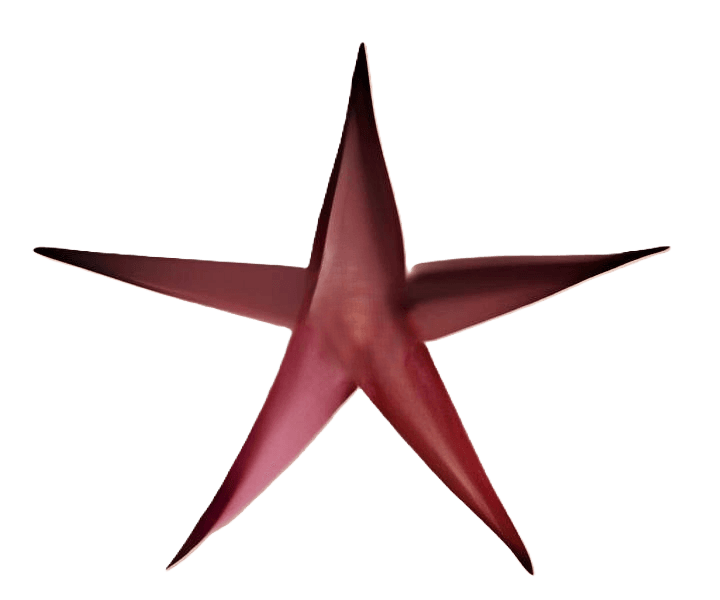 Rocío Martín - Experta en Micropigmentación en Madrid 1 Estrella decorativa color rosa metálico utilizada como elemento gráfico en el diseño web de Rocío Martín Micropigmentación y Estética